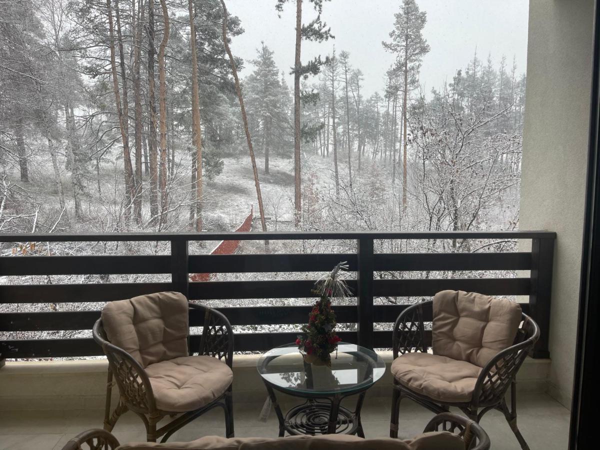 Nikol 2 Deluxe Lejlighed Velingrad Eksteriør billede