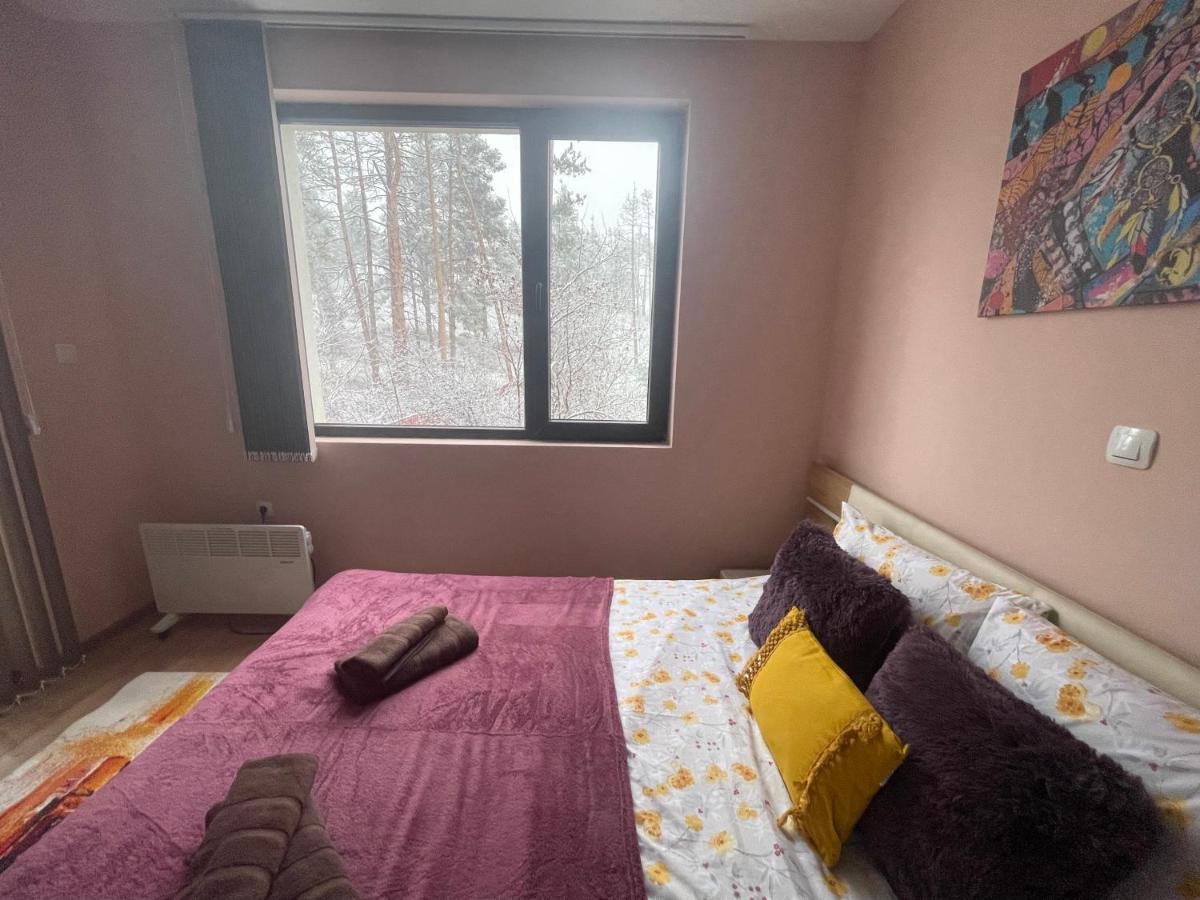 Nikol 2 Deluxe Lejlighed Velingrad Eksteriør billede